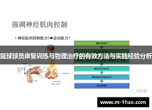 篮球球员康复训练与物理治疗的有效方法与实践经验分析