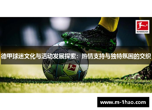 德甲球迷文化与活动发展探索：热情支持与独特氛围的交织