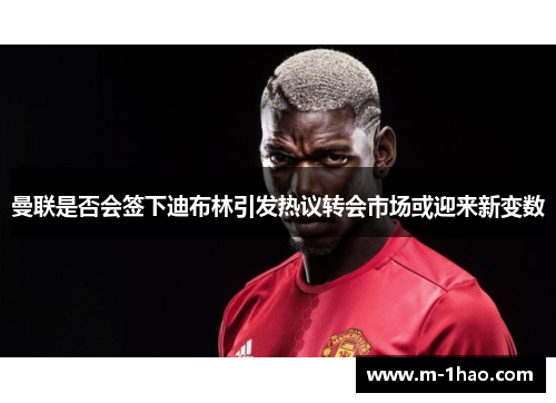 曼联是否会签下迪布林引发热议转会市场或迎来新变数