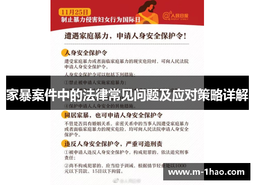 家暴案件中的法律常见问题及应对策略详解