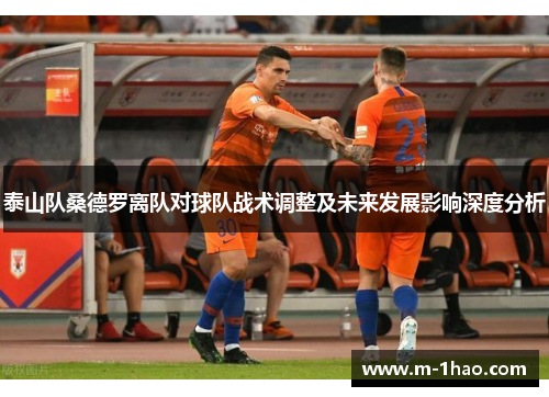泰山队桑德罗离队对球队战术调整及未来发展影响深度分析