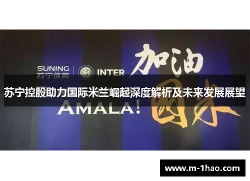 苏宁控股助力国际米兰崛起深度解析及未来发展展望