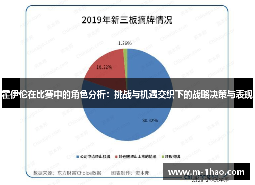 霍伊伦在比赛中的角色分析：挑战与机遇交织下的战略决策与表现