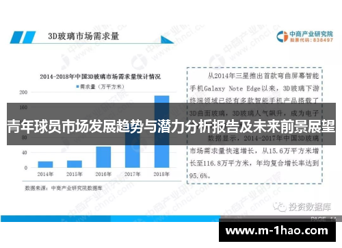 青年球员市场发展趋势与潜力分析报告及未来前景展望