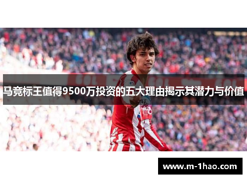 马竞标王值得9500万投资的五大理由揭示其潜力与价值