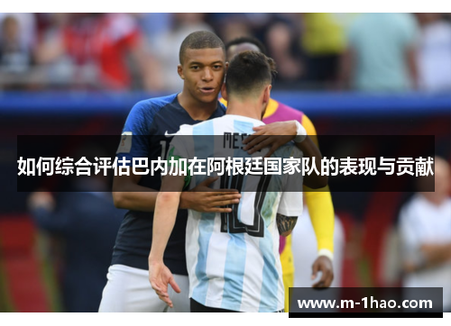 如何综合评估巴内加在阿根廷国家队的表现与贡献