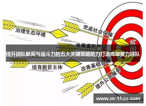 提升团队默契与战斗力的五大关键策略助力打造高凝聚力球队